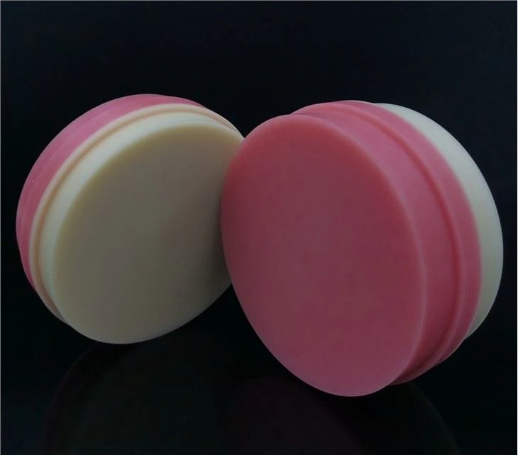 Double Layer Dental Pmma